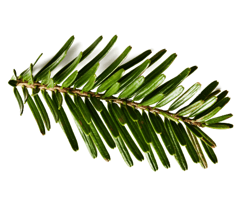 />
</picture></div></div></div></div></div></div></div></div></div></div><div class=
